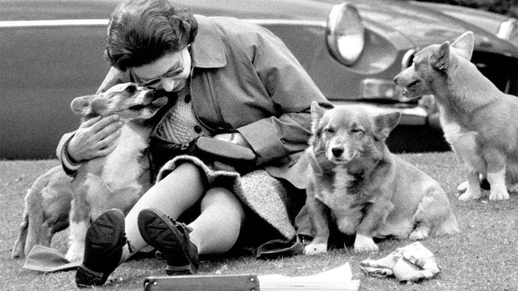 1973 год. Фото: Press Association