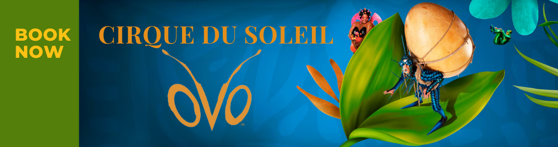 Cirque du Soleil с шоу OVO Cirque du Soleil с шоу OVO